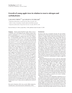 Growth of young apple trees in relation to reserve nitrogen and