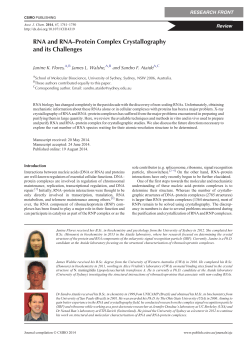 RNA and RNA-Protein Complex Crystallography and its Challenges