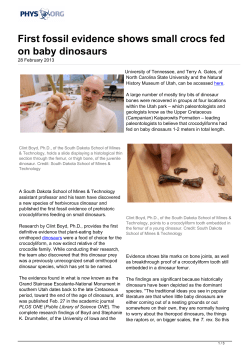 First fossil evidence shows small crocs fed on baby dinosaurs