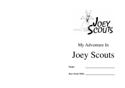 My Adventure in Joey Scouts