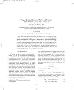 Biogeochemical Cycles of Sulfur and Nitrogen in the Archean Ocean