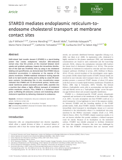 endosome cholesterol transport at membrane contact sites