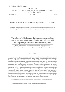 The effect of cold shocN on the immune response