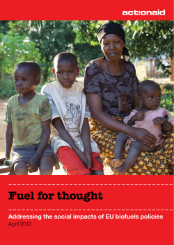 Fuel for Thought &ndash; Addressing the social impacts of biofuels