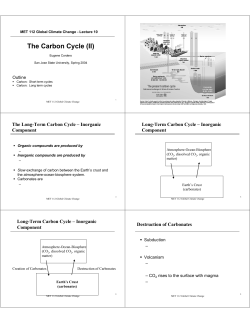 The Carbon Cycle (II) - San Jose State University