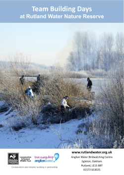 Team Building Days - Rutland Water Nature Reserve