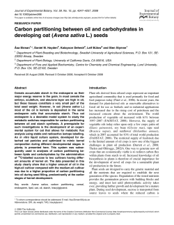 Carbon partitioning between oil and carbohydrates in developing