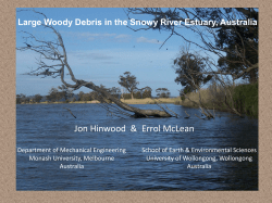 Large woody debris in an estuary: census data and transportation