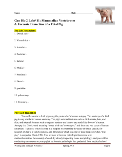 Bio2_Lab11_Forensic-Fetal