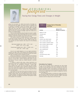 Tracing Your Energy Flows and Changes in Weight