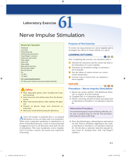 Nerve Impulse Stimulation