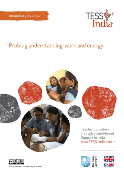 Probing understanding: work and energy