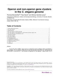 Operon and non-operon gene clusters in the C