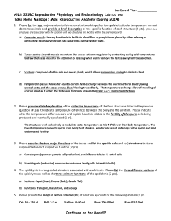 Male Anatomy Key - UF Animal Science