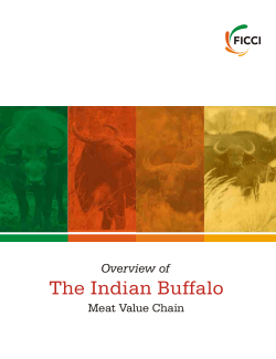 Indian Buffalo report changes in may 2014