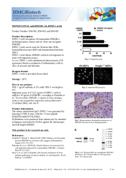 MONOCLONAL anti-HMGB1 Ab (DPH1.1 mAb) Product Number