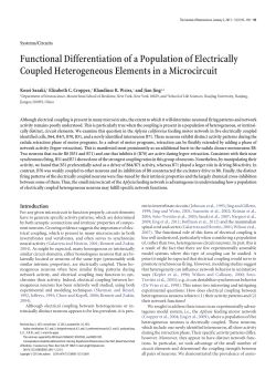 Functional Differentiation of a Population of Electrically Coupled