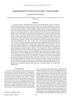 Sequential kinetics of a muscovite