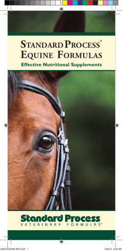 Equine Brochure - Standard Process