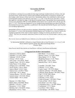 Intermediate Daffodils - American Daffodil Society