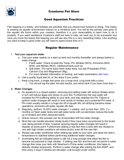 Regular Maintenance Creatures Pet Store Good Aquarium Practices