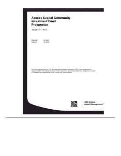 Access Capital Community Investment Fund Prospectus