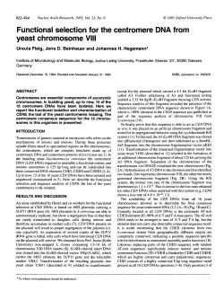 Functional selection for the centromere DNA from