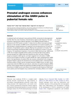 Prenatal androgen excess enhances stimulation of the
