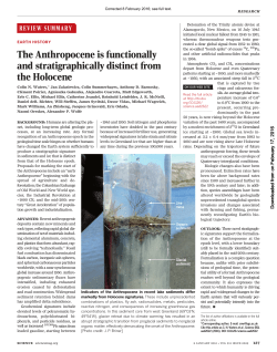 The Anthropocene is functionally and stratigraphically distinct from