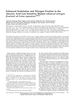 Enhanced Nodulation and Nitrogen Fixation in