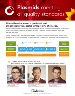 Plasmid DNA for research, preclinical, and clinical applications