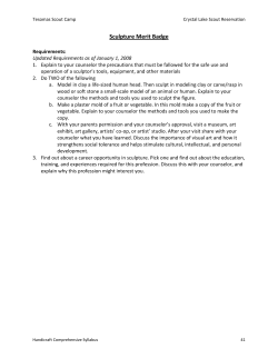 Sculpture Merit Badge - Crystal Lake Scout Reservation