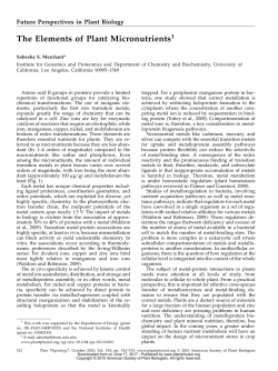 The Elements of Plant Micronutrients1