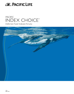 Pacific Index Choice Client Guide
