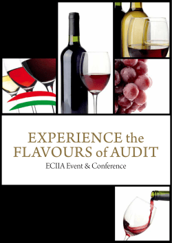 EXPERIENCEthe FLAVOURSof AUDIT