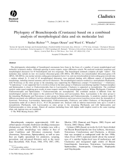 as a PDF