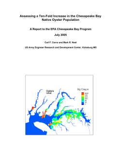 Assessing a Ten-Fold Increase in the Chesapeake Bay Native