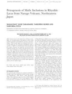 Petrogenesis of Mafic Inclusions in Rhyolitic