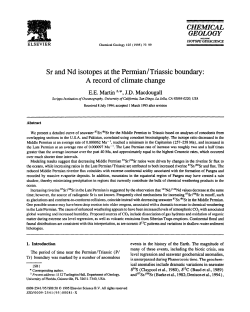 Sr and Nd isotopes at the Permian/Triassic boundary
