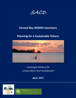 Corozal Bay Wildlife Sanctuary Planning for a - Eco
