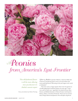from America`s Last Frontier - The Alaska Peony Growers Association