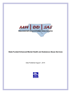 State-funded Service Definitions