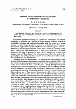 Notes on the Phylogenetic Background to