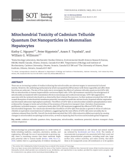 Mitochondrial Toxicity of Cadmium Telluride