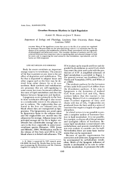 Circadian Hormone Rhythms in Lipid Regulation Body fat stores