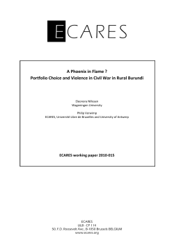 A Phoenix in Flame ? Portfolio Choice and Violence in Civil War in