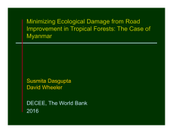 Minimizing Ecological Damage from Road Improvement in Tropical