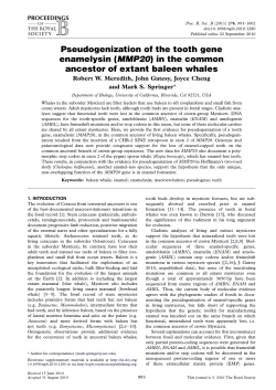 MMP20 - Montclair State University