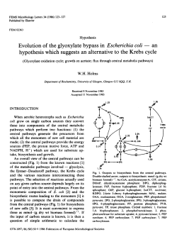 Evolution of the glyoxylate bypass in Escherichia coli&mdash;An