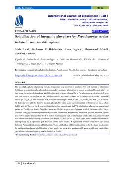 Solubilization of inorganic phosphate by Pseudomonas strains